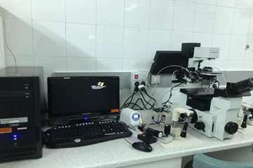 semums-en.amirhos.ivf ward 